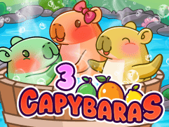 3 Capybaras